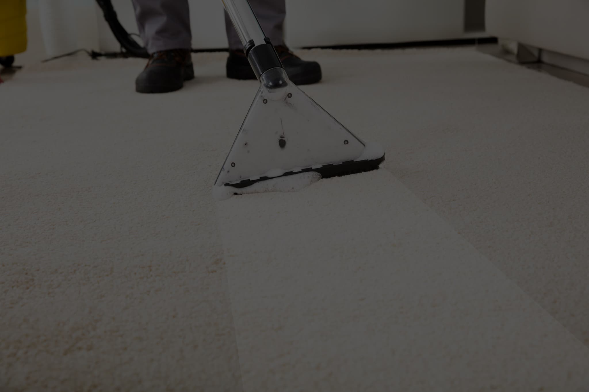 Carpet cleaning service