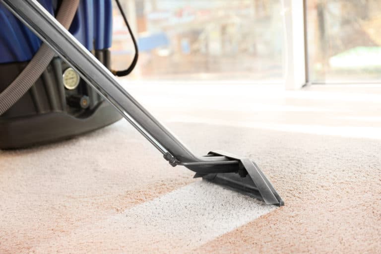 Professional carpet steam cleaning
