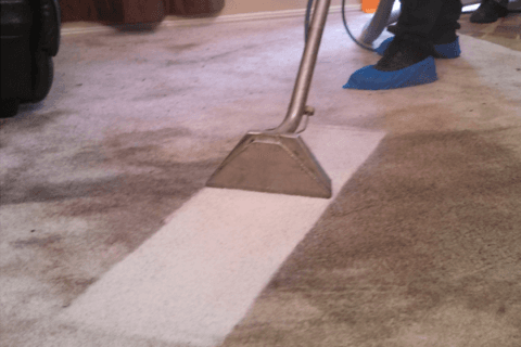 Carpet steam cleaning in progress